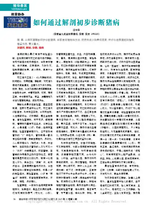 如何通过解剖初步诊断猪病