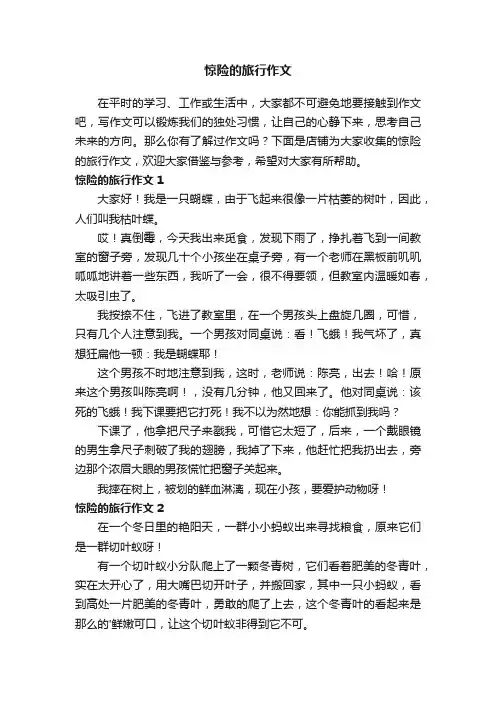 惊险的旅行作文