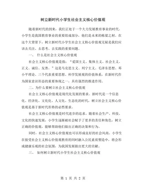树立新时代小学生社会主义核心价值观