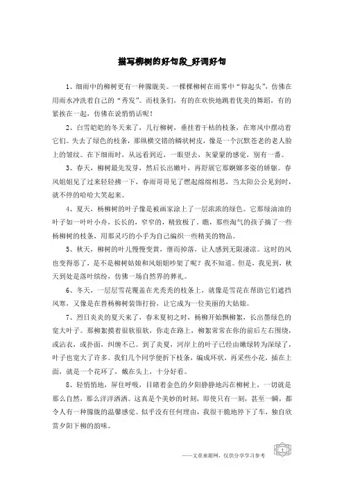 描写柳树的好句段-好词好句