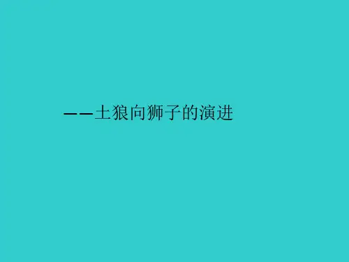 华为案例分析ppt课件