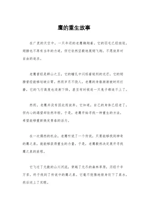 鹰的重生故事