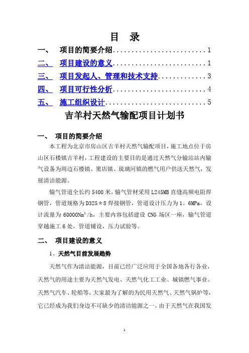 吉羊村天然气输配项目计划书