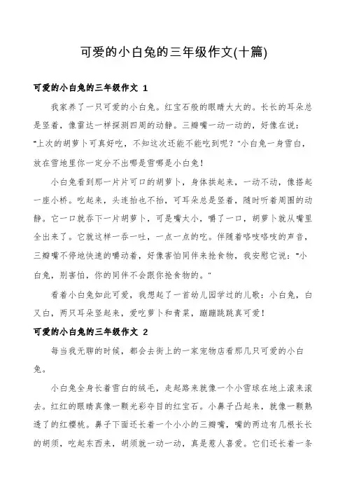 可爱的小白兔的三年级作文(十篇)