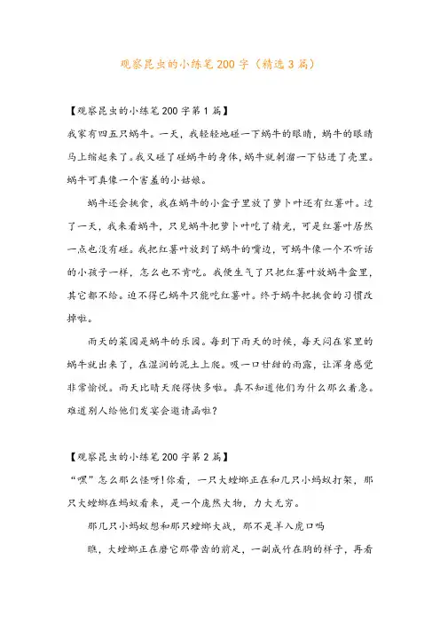 观察昆虫的小练笔200字(精选3篇)