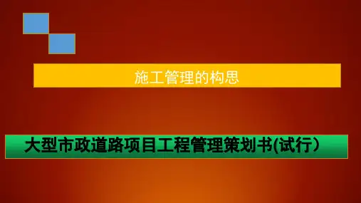 大型市政道路项目工程管理策划书(109页)