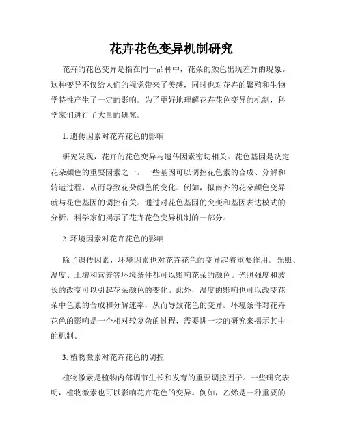 花卉花色变异机制研究