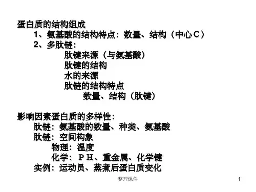 蛋白质的结构组成氨基酸的结构特点：数量、结构中心