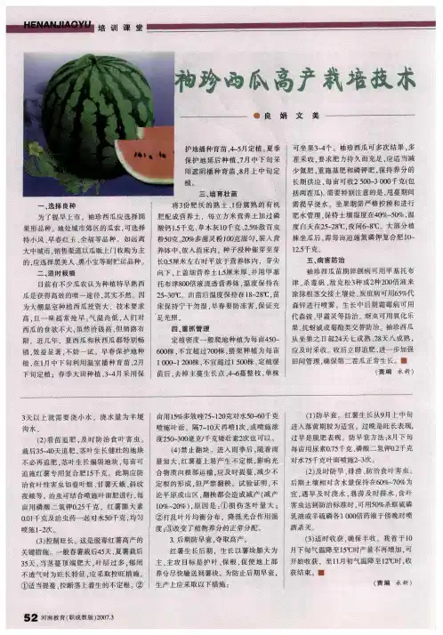 袖珍西瓜高产栽培技术