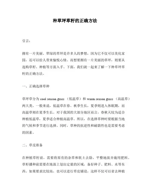 种草坪草籽的正确方法
