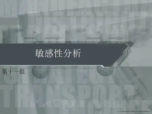敏感性分析PPt