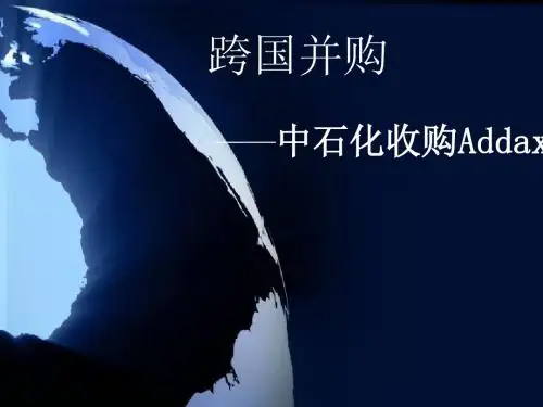 跨国并购 第七组