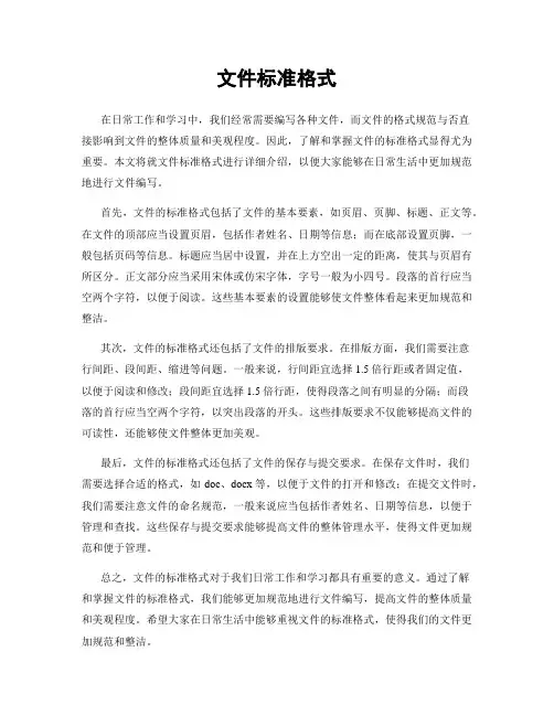 文件标准格式