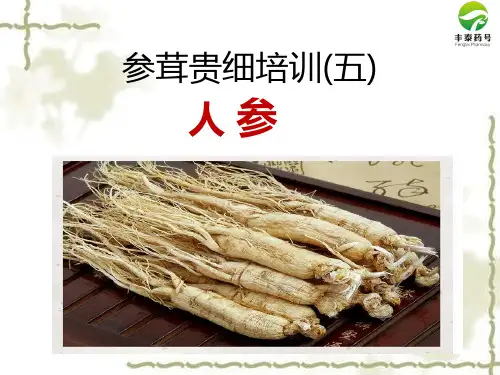 参茸贵细培训  5 人参