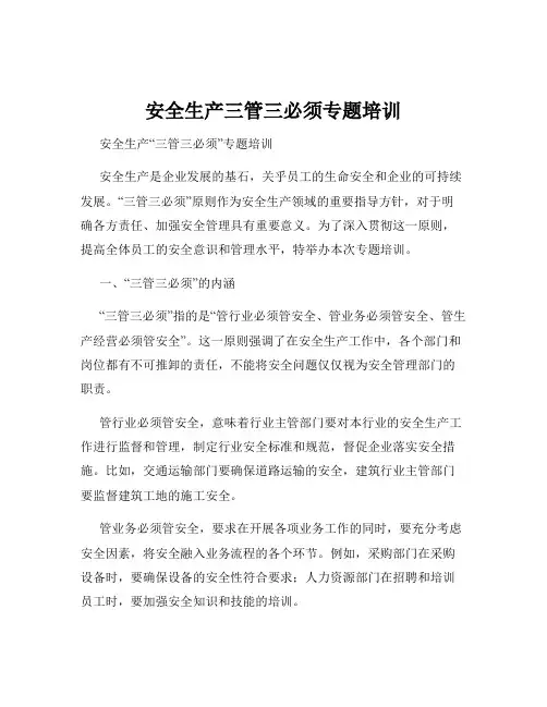安全生产三管三必须专题培训