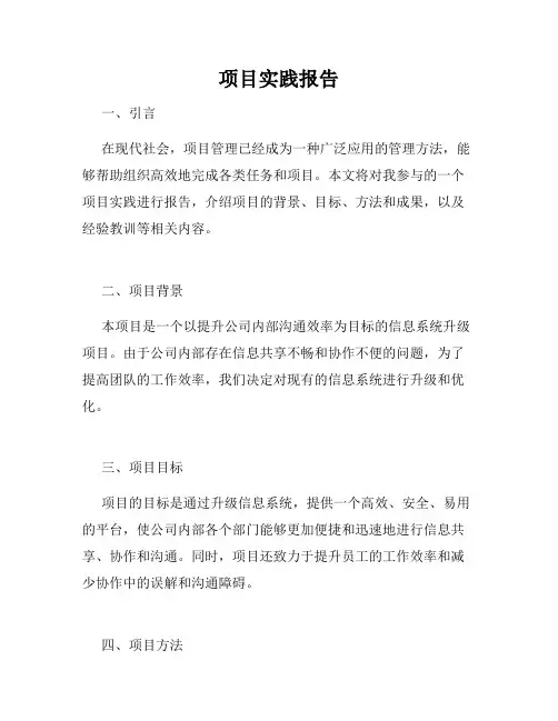 项目实践报告