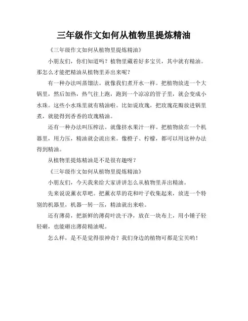 三年级作文如何从植物里提炼精油