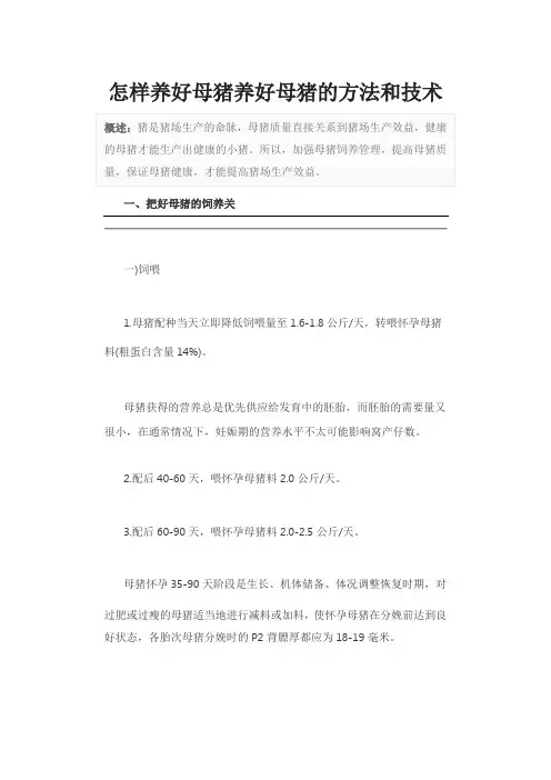 怎样养好母猪养好母猪的方法和技术