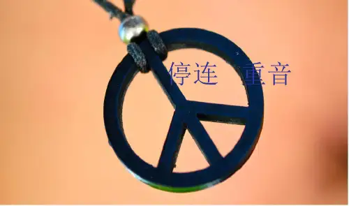 《播音主持创作基础》停连重音 2