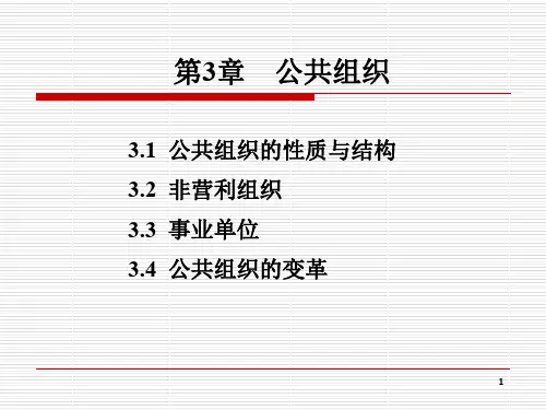 公共组织ppt课件