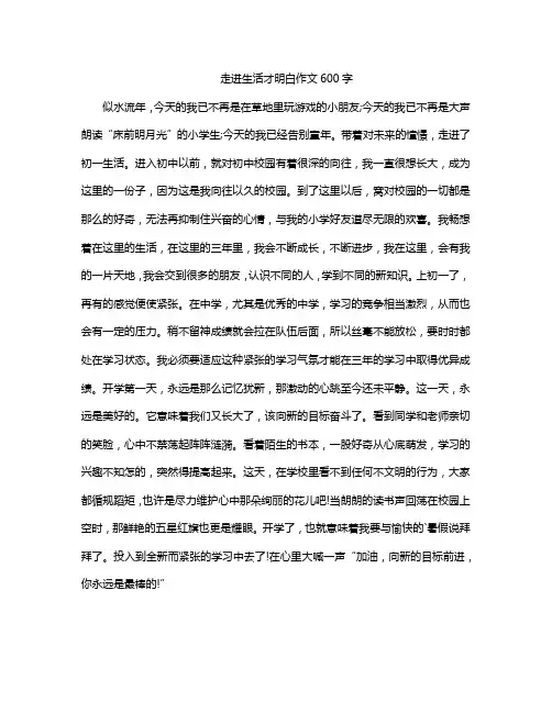 走进生活才明白作文600字