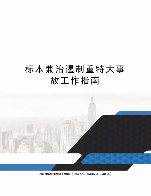 标本兼治遏制重特大事故工作指南