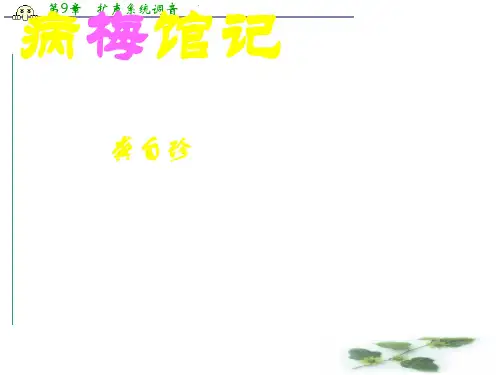 沪教高一语文(上)《病梅馆记》课件(共57张PPT)