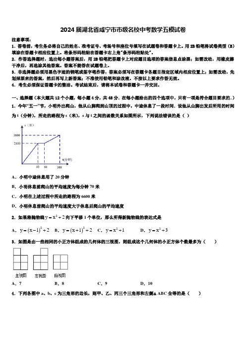 2024届湖北省咸宁市市级名校中考数学五模试卷含解析