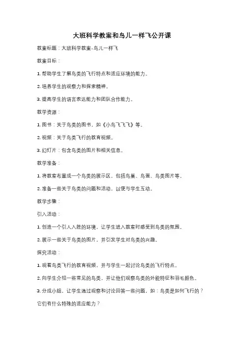 大班科学教案和鸟儿一样飞公开课