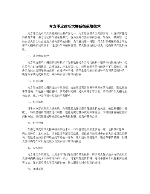 南方厚皮甜瓜大棚减损栽培技术
