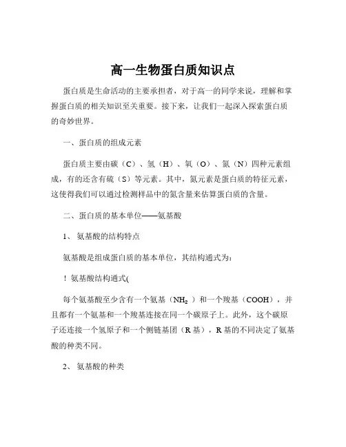 高一生物蛋白质知识点