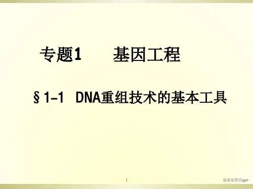 DNA重组技术的基本工具(精校版)ppt课件