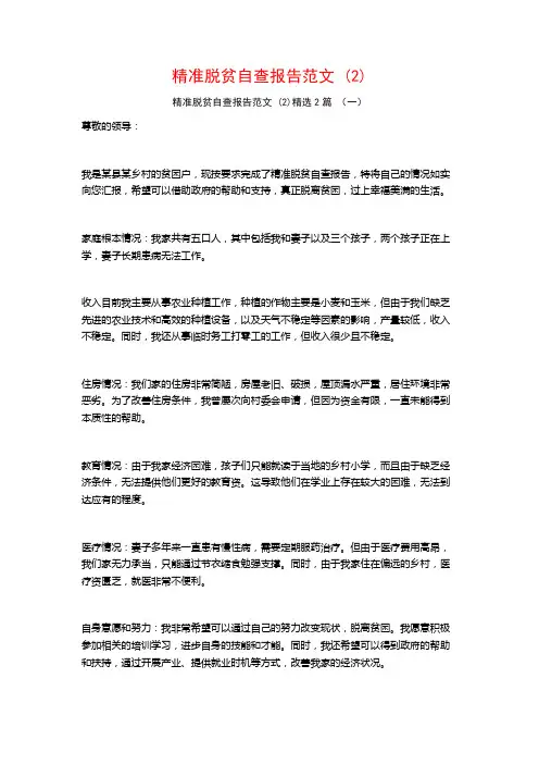 精准脱贫自查报告范文2篇