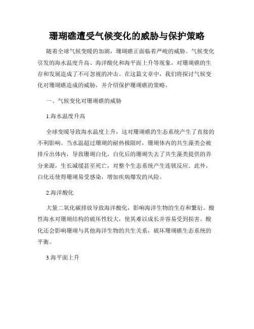 珊瑚礁遭受气候变化的威胁与保护策略