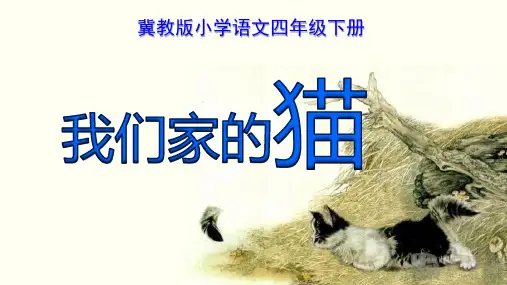 《我们家的猫》课件