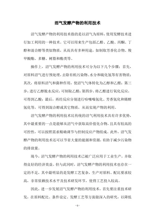 沼气发酵产物的利用技术