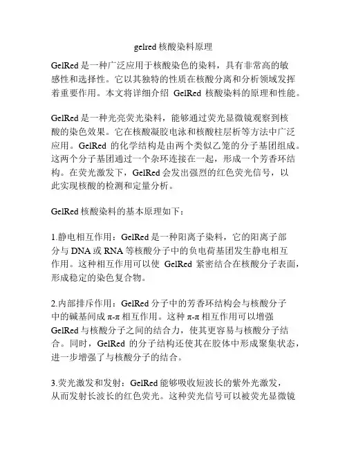 gelred核酸染料原理