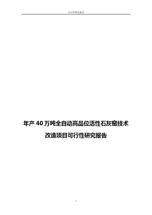 年产40万吨全自动高品位活性石灰窑技术改造项目可行性研究报告