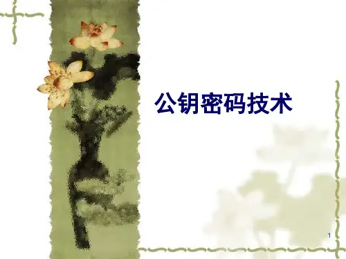第四章 公钥密码体制.