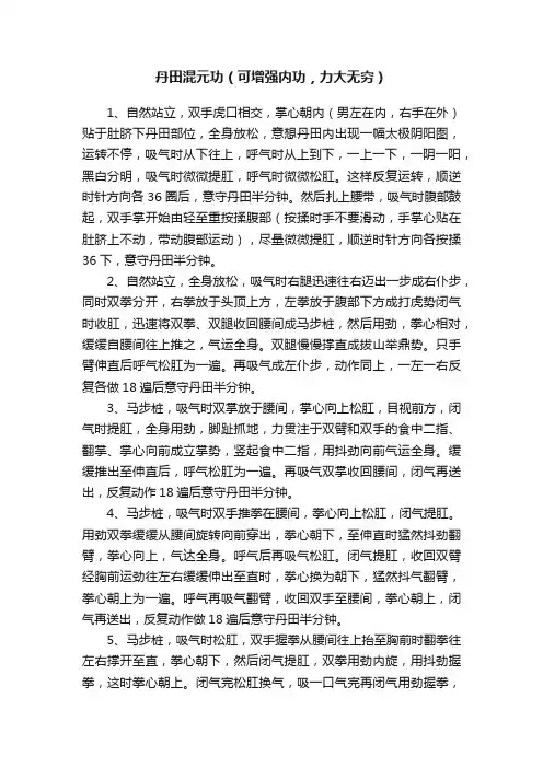 丹田混元功（可增强内功，力大无穷）