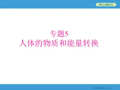 年中考初中科学复习专题人体的物质和能量转换