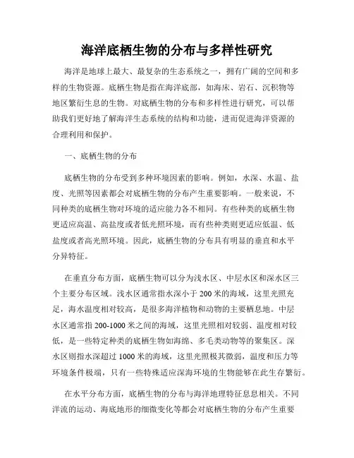 海洋底栖生物的分布与多样性研究