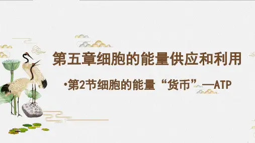 细胞的能量货币ATP-高中生物片段教学优质课件