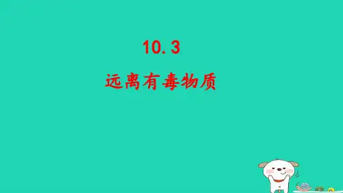 九年级化学下册第10单元化学与健康：远离有毒物质pptx课件鲁教版