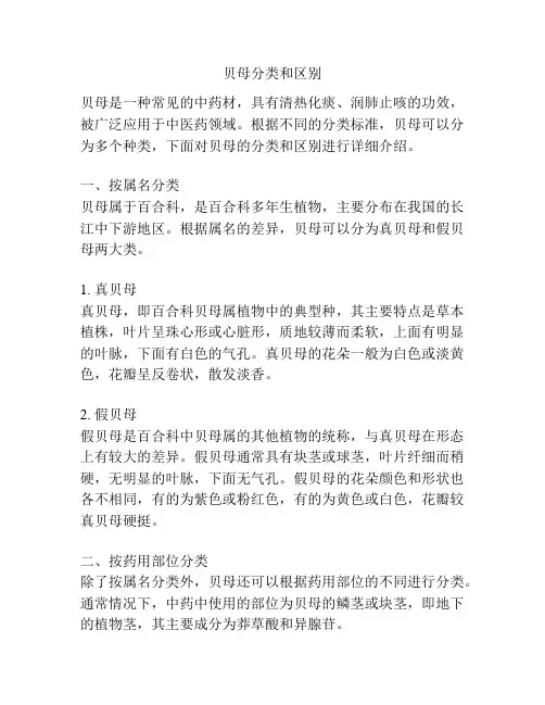贝母分类和区别