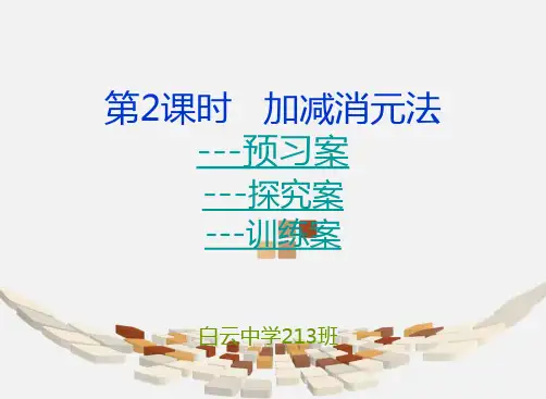 第2课时   加减消元法导学案