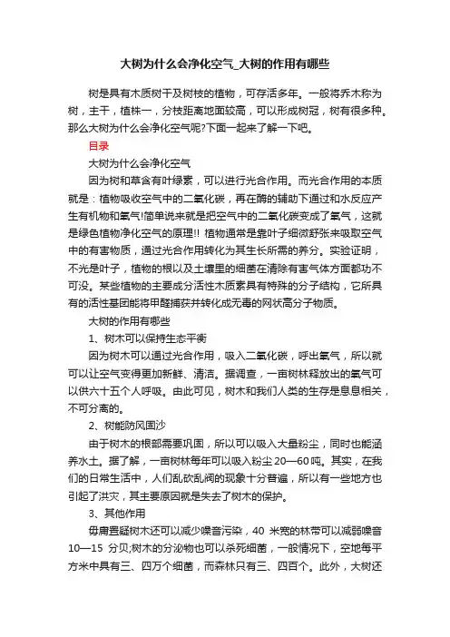 大树为什么会净化空气_大树的作用有哪些