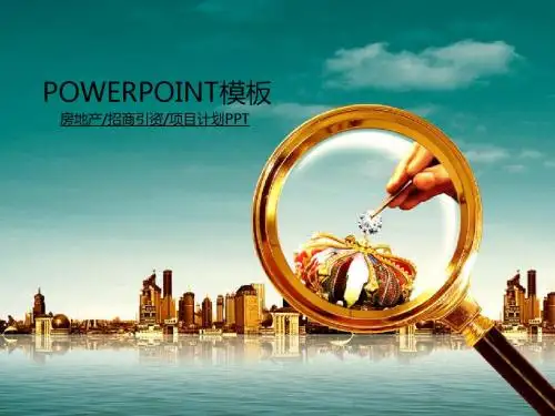 房地产开发区政府招商引资项目规划PPT
