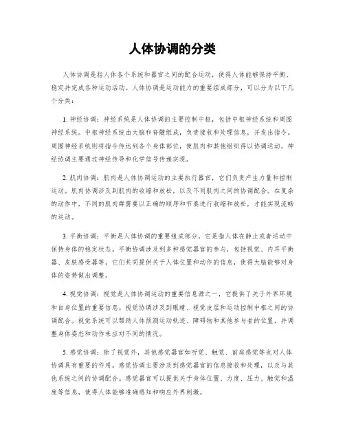 人体协调的分类