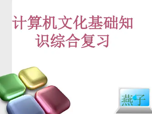 计算机文化基础知识综合复习